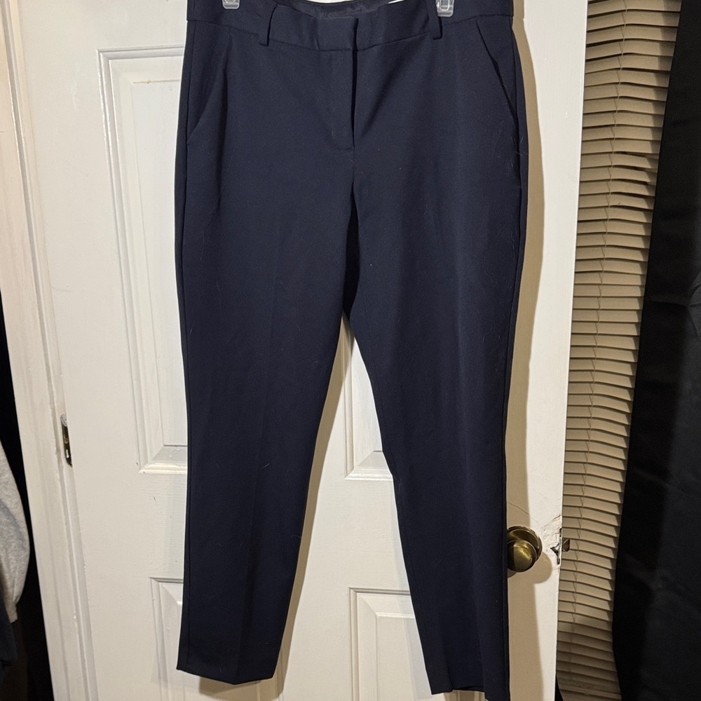 Express Navy 12R Ankle Pants